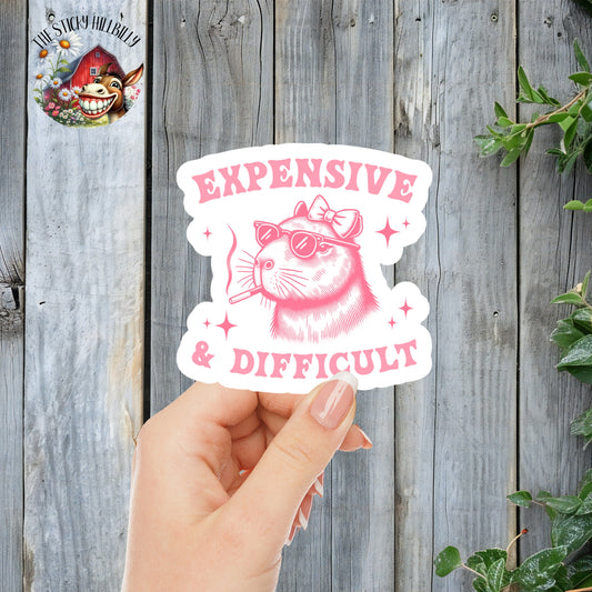 Expensive & Difficult Diva Capybara - Cute Pink Coquette Aesthetic Sticker | Laminated Vinyl Decal | Funny Gift Stickers | Multiple Sizes | Perfect for Laptops, Cars, Tumblers and More!