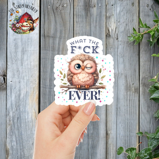 What The F*ck Ever! - Cute Winking Owl Sticker | Laminated Vinyl Decal | Funny Gift Stickers | Multiple Sizes | Perfect for Laptops, Cars, Tumblers and More!