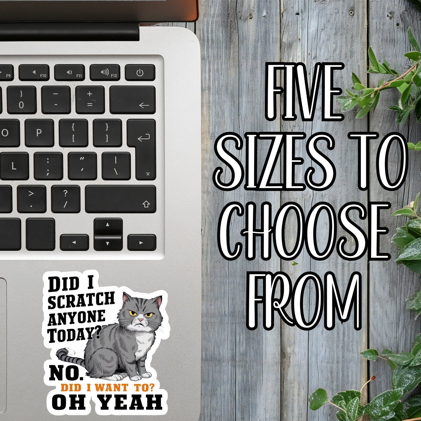 "Did I Scratch Anyone Today? No. Did I Want To? Oh Yeah." Funny Salty Cat Sticker | Laminated Vinyl Decal | Funny Gift Stickers | Multiple Sizes | Perfect for Laptops, Cars, Tumblers and More!