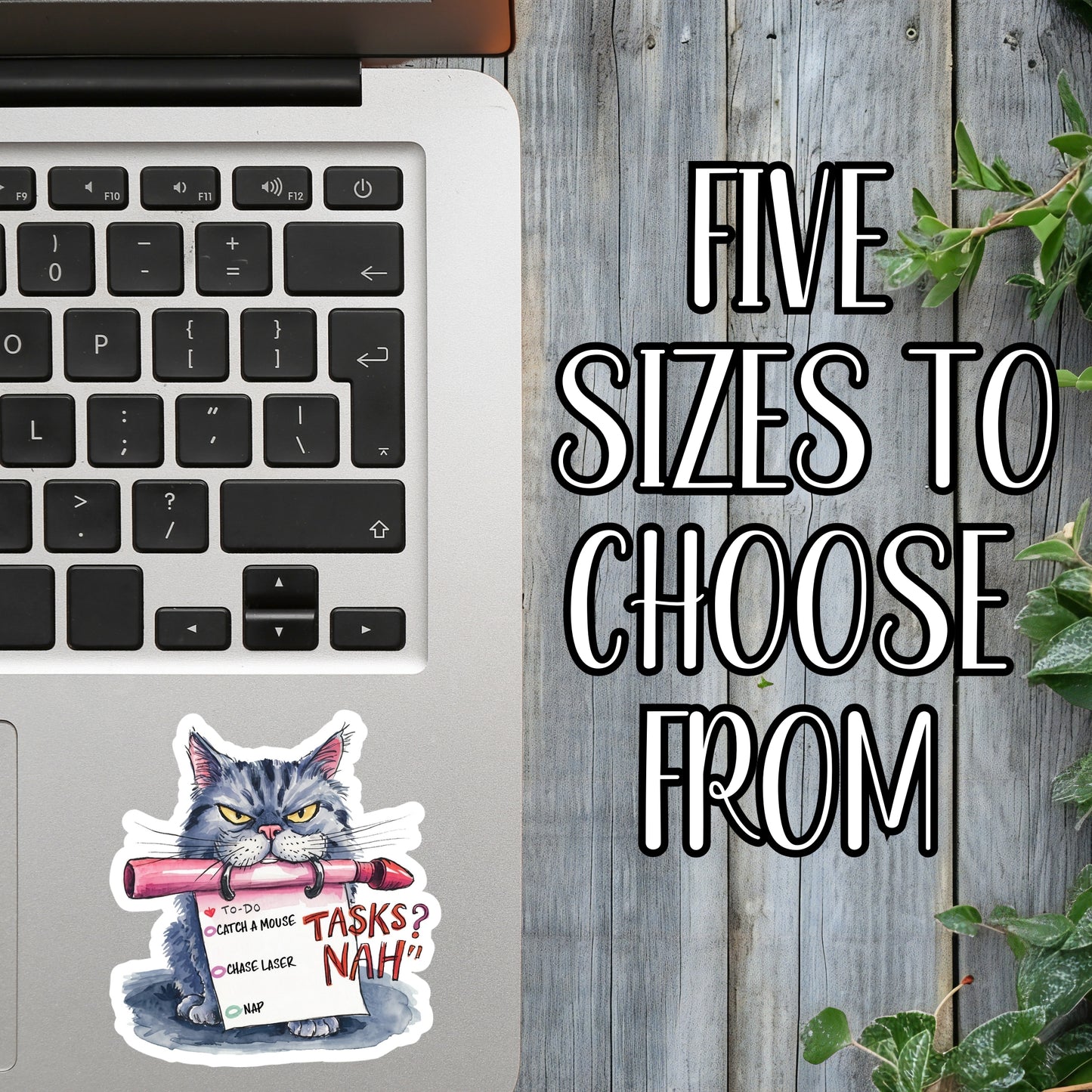 Evil Kitty To-Do List - Funny Cat Sticker | Laminated Vinyl Decal | Funny Gift Stickers | Multiple Sizes | Perfect for Laptops, Cars, Tumblers and More!