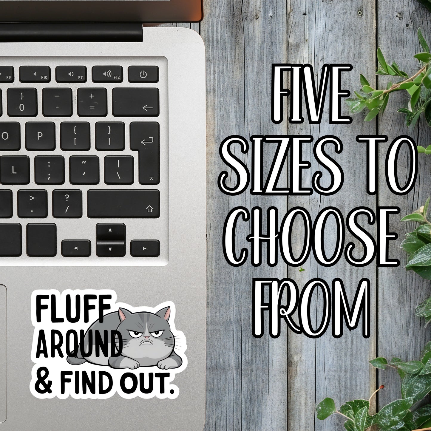 Fluff Around & Find Out - Funny Salty Cat Sticker | Laminated Vinyl Decal | Funny Gift Stickers | Multiple Sizes | Perfect for Laptops, Cars, Tumblers and More!