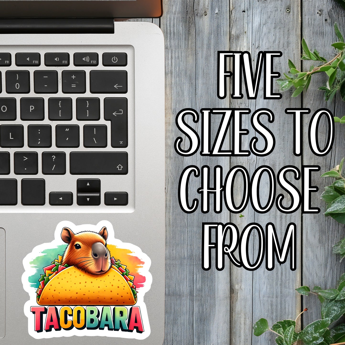 Tacobara - Vibrant Capybara Sticker | Laminated Vinyl Decal | Funny Gift Stickers | Multiple Sizes | Perfect for Laptops, Cars, Tumblers and More!