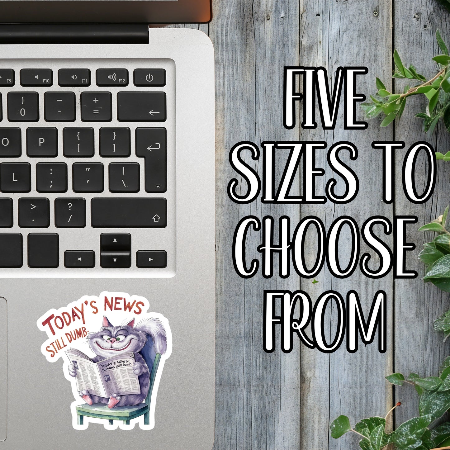 Today's News: Still Dumb. - Funny Newspaper Cat Sticker | Laminated Vinyl Decal | Funny Gift Stickers | Multiple Sizes | Perfect for Laptops, Cars, Tumblers and More!