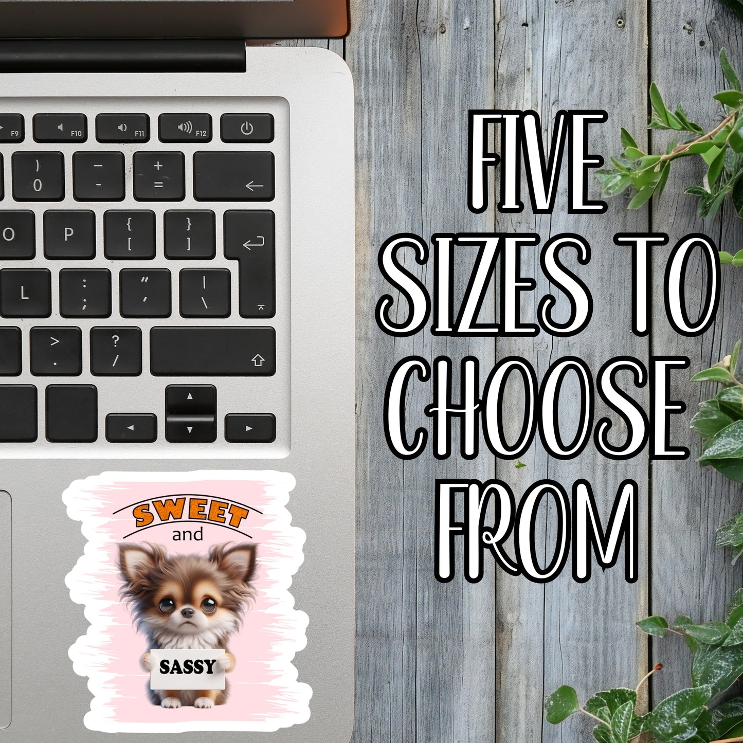 Sweet And Sassy Chihuahua Sticker | Laminated Vinyl Decal | Funny Gift Stickers | Multiple Sizes | Perfect for Laptops, Cars, Tumblers and More!