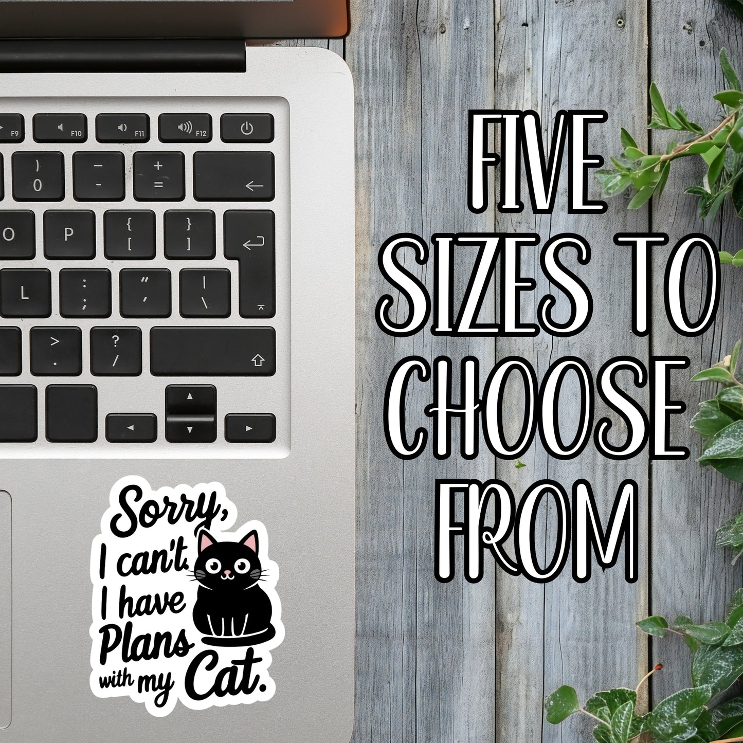 Sorry, I Can't. I Have Plans With My Cat. - Cute Cat Parent Sticker | Laminated Vinyl Decal | Funny Gift Stickers | Multiple Sizes | Perfect for Laptops, Cars, Tumblers and More!