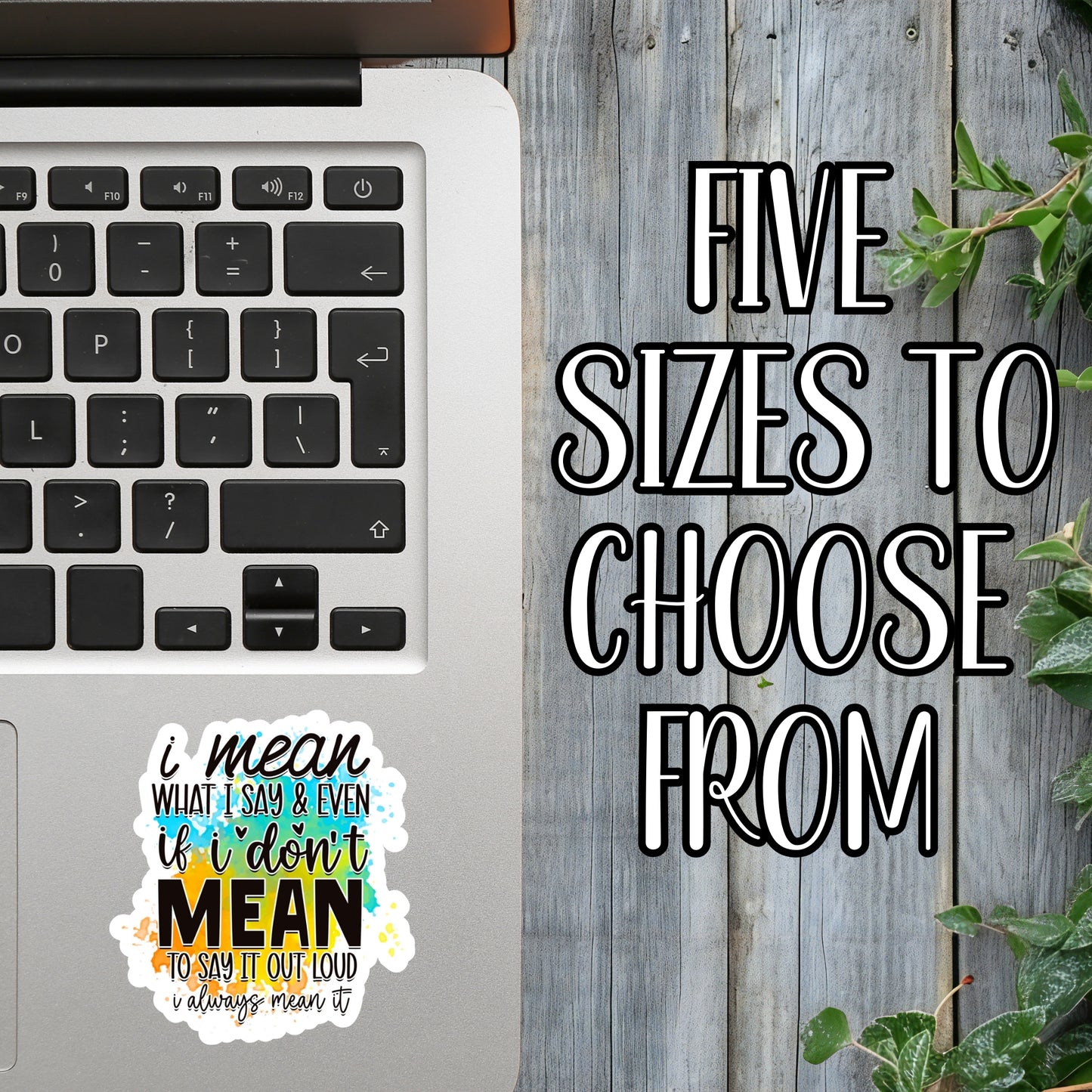 I Mean What I Say & Even If I Don't Mean To Say It Out Loud, I Always Mean It - Sassy Quote Sticker | Laminated Vinyl Decal | Funny Gift Stickers | Multiple Sizes | Perfect for Laptops, Cars, Tumblers and More!