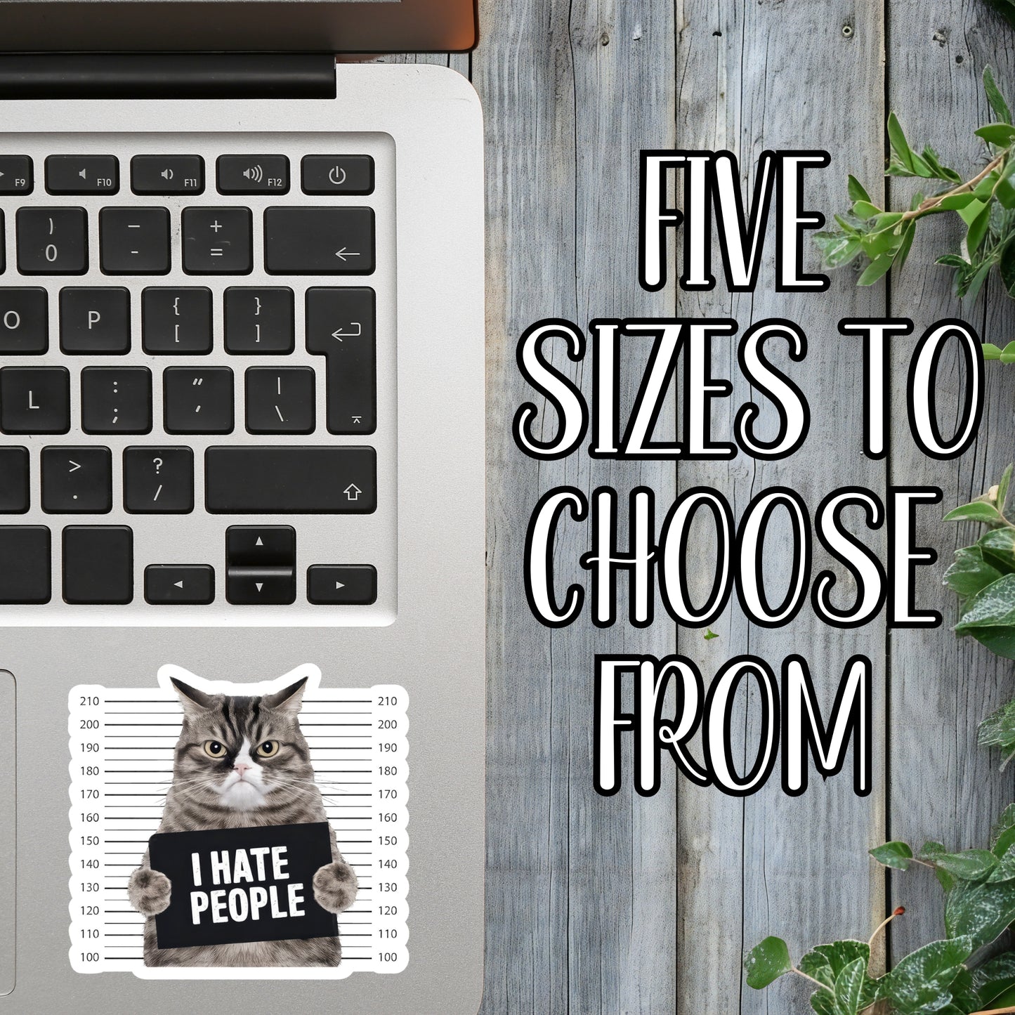 I Hate People - Angry Cat Jail Mugshot Sticker | Laminated Vinyl Decal | Funny Gift Stickers | Multiple Sizes | Perfect for Laptops, Cars, Tumblers and More!