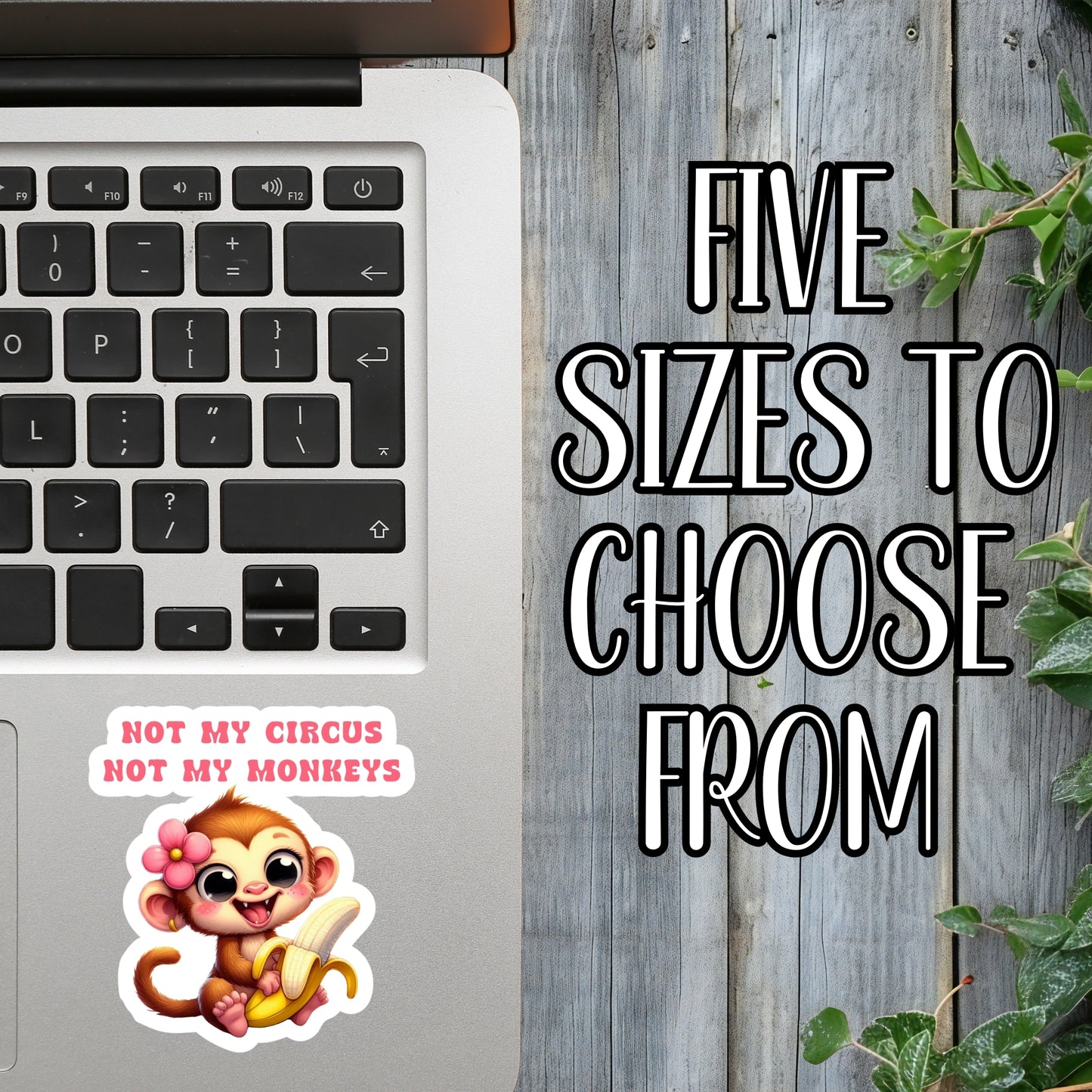 Not My Circus, Not My Monkeys - Cute Monkey Sticker | Laminated Vinyl Decal | Funny Gift Stickers | Multiple Sizes | Perfect for Laptops, Cars, Tumblers and More!