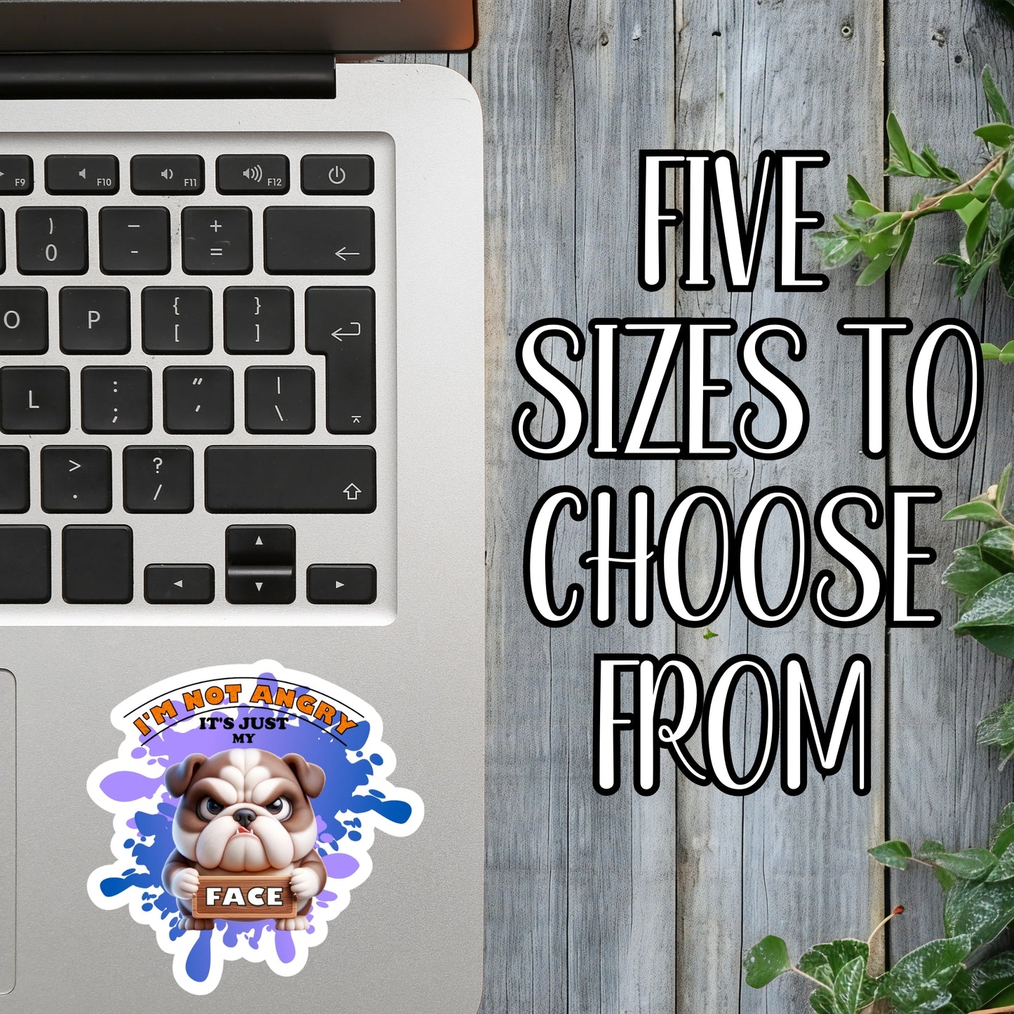 I'm Not Angry, It's Just My Face - Cute Bulldog Sticker | Laminated Vinyl Decal | Funny Gift Stickers | Multiple Sizes | Perfect for Laptops, Cars, Tumblers and More!