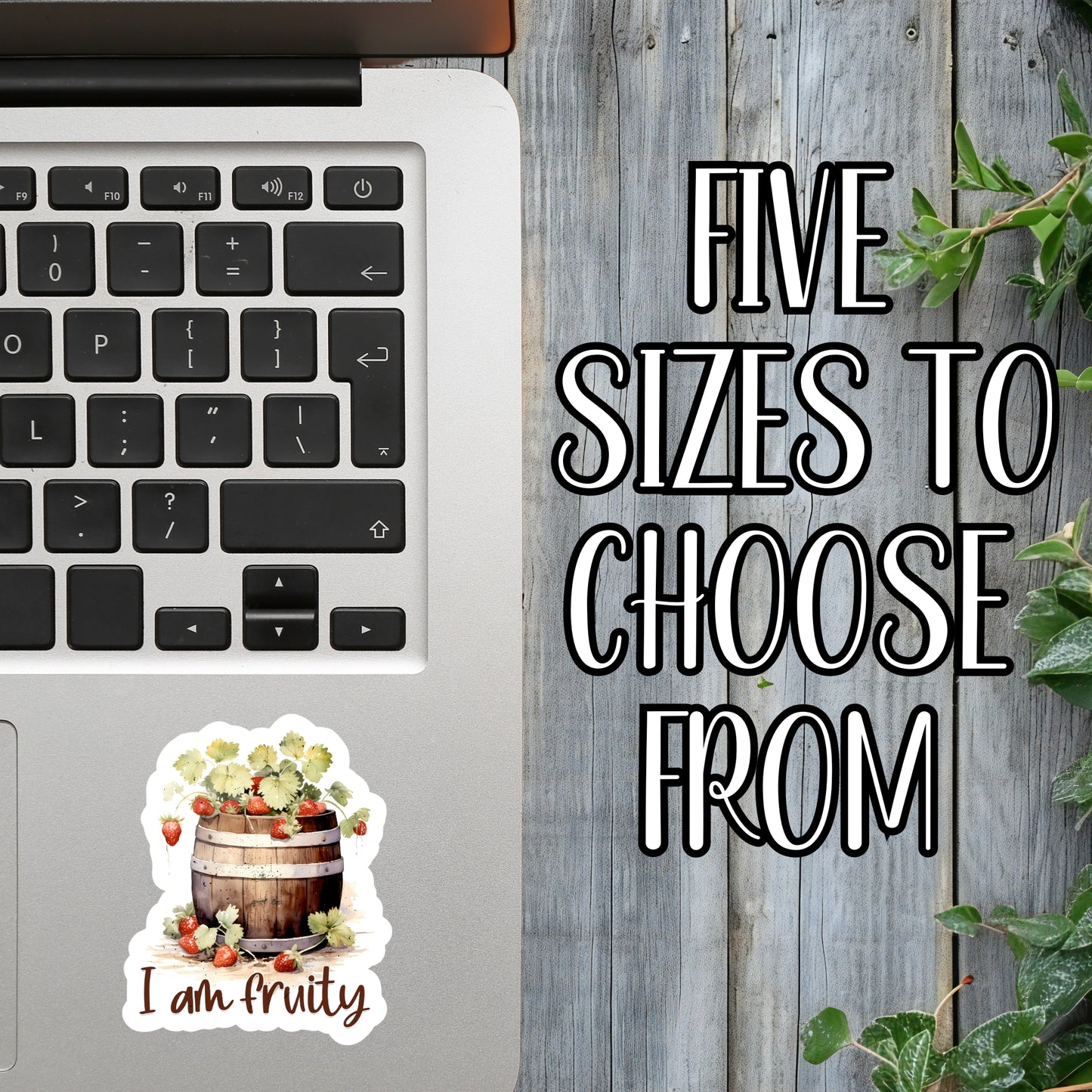 I Am Fruity - Punny LGBTQIA+ Apple Barrel Aesthetic Sticker | Laminated Vinyl Decal | Funny Gift Stickers | Multiple Sizes | Perfect for Laptops, Cars, Tumblers and More!