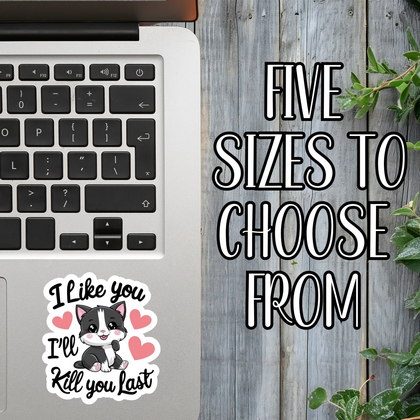 I Like You... I'll Kill You Last - Cute Tuxedo Kitty Cat Sticker | Laminated Vinyl Decal | Funny Gift Stickers | Multiple Sizes | Perfect for Laptops, Cars, Tumblers and More!