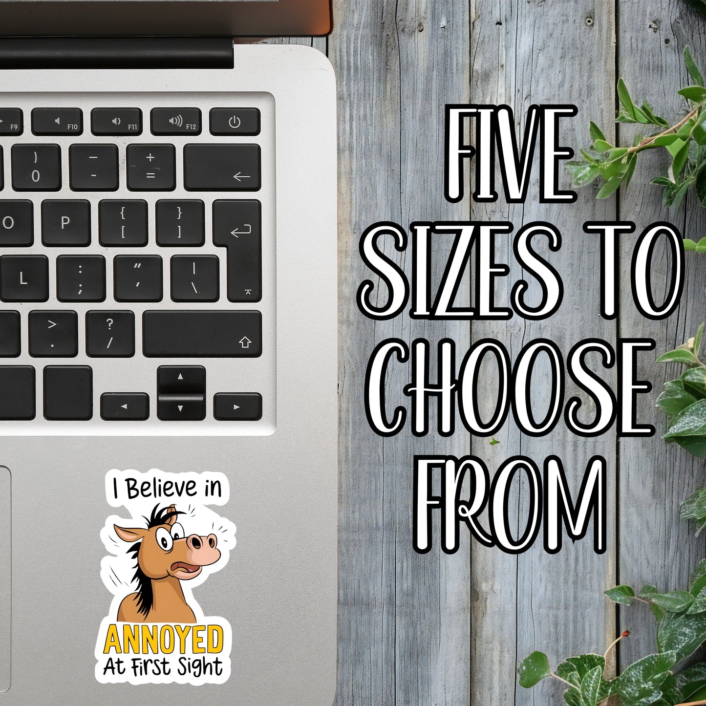 I Believe In 'Annoyed' At First Sight - Sassy Horse Sticker | Laminated Vinyl Decal | Funny Gift Stickers | Multiple Sizes | Perfect for Laptops, Cars, Tumblers and More!