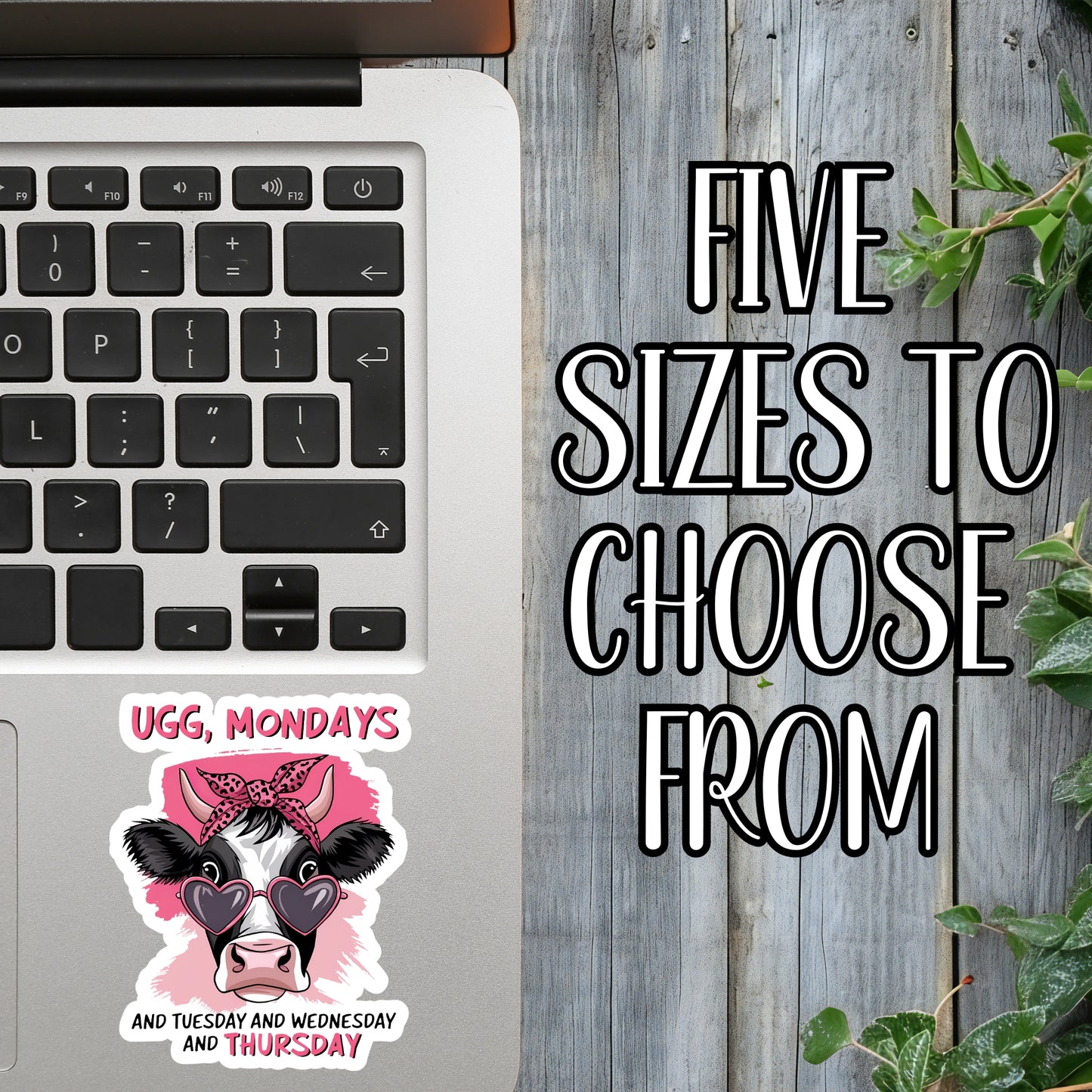 Ugg, Mondays... Funny Diva Cow Sticker | Laminated Vinyl Decal | Funny Gift Stickers | Multiple Sizes | Perfect for Laptops, Cars, Tumblers and More!