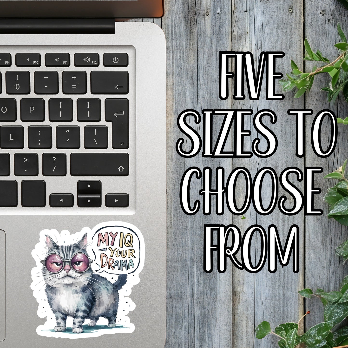 MY IQ, Your Drama - Cute Diva Tabby Cat Sticker | Laminated Vinyl Decal | Funny Gift Stickers | Multiple Sizes | Perfect for Laptops, Cars, Tumblers and More!