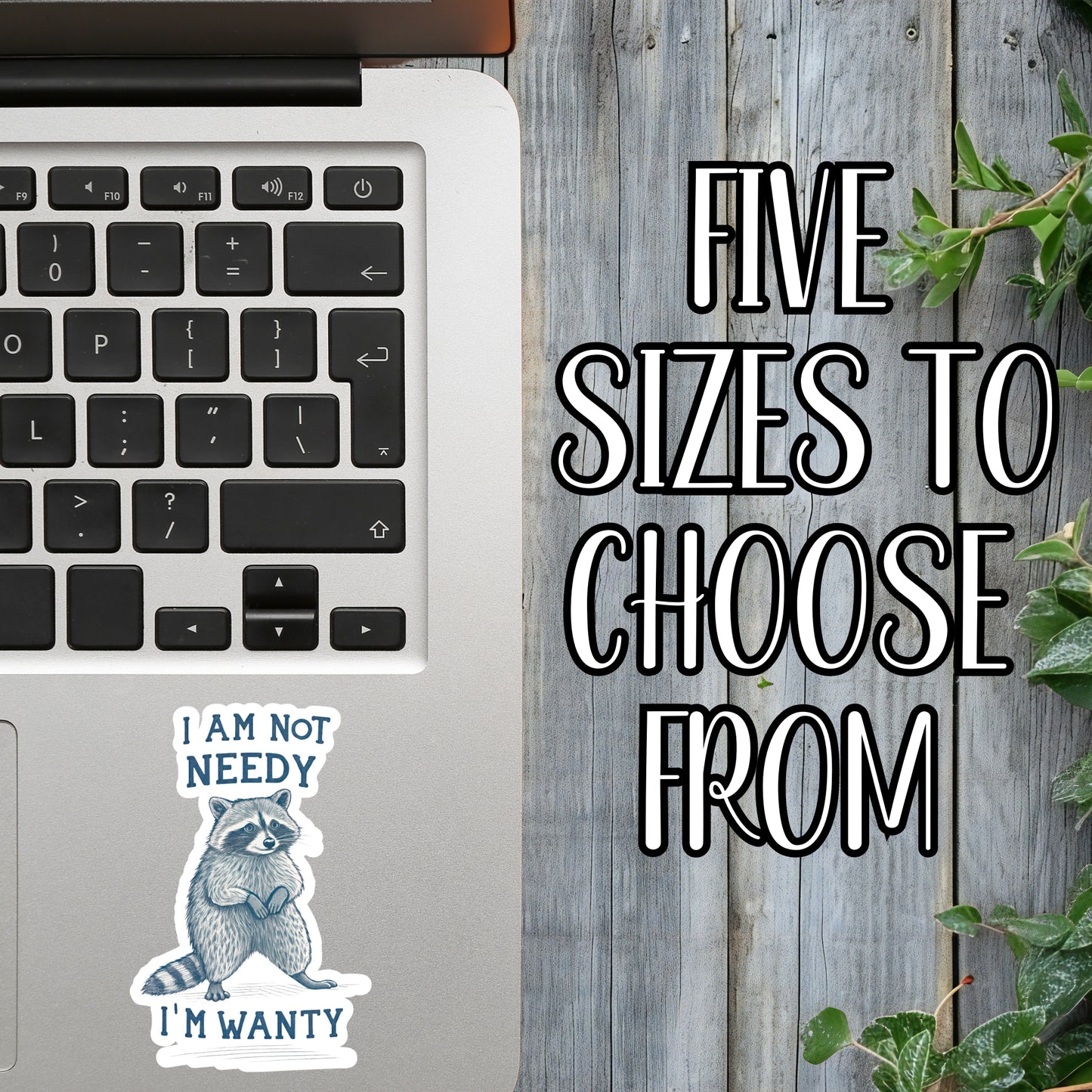 I Am Not Needy... I'm Wanty - Funny Raccoon Sticker | Laminated Vinyl Decal | Funny Gift Stickers | Multiple Sizes | Perfect for Laptops, Cars, Tumblers and More!