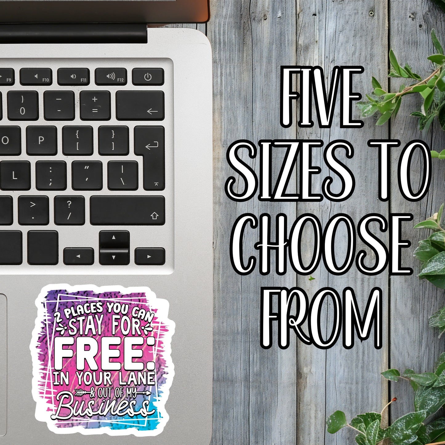 2 Places You Can Stay For Free: In Your Lane & Out Of My Business - Funny Quote Sticker | Laminated Vinyl Decal | Funny Gift Stickers | Multiple Sizes | Perfect for Laptops, Cars, Tumblers and More!