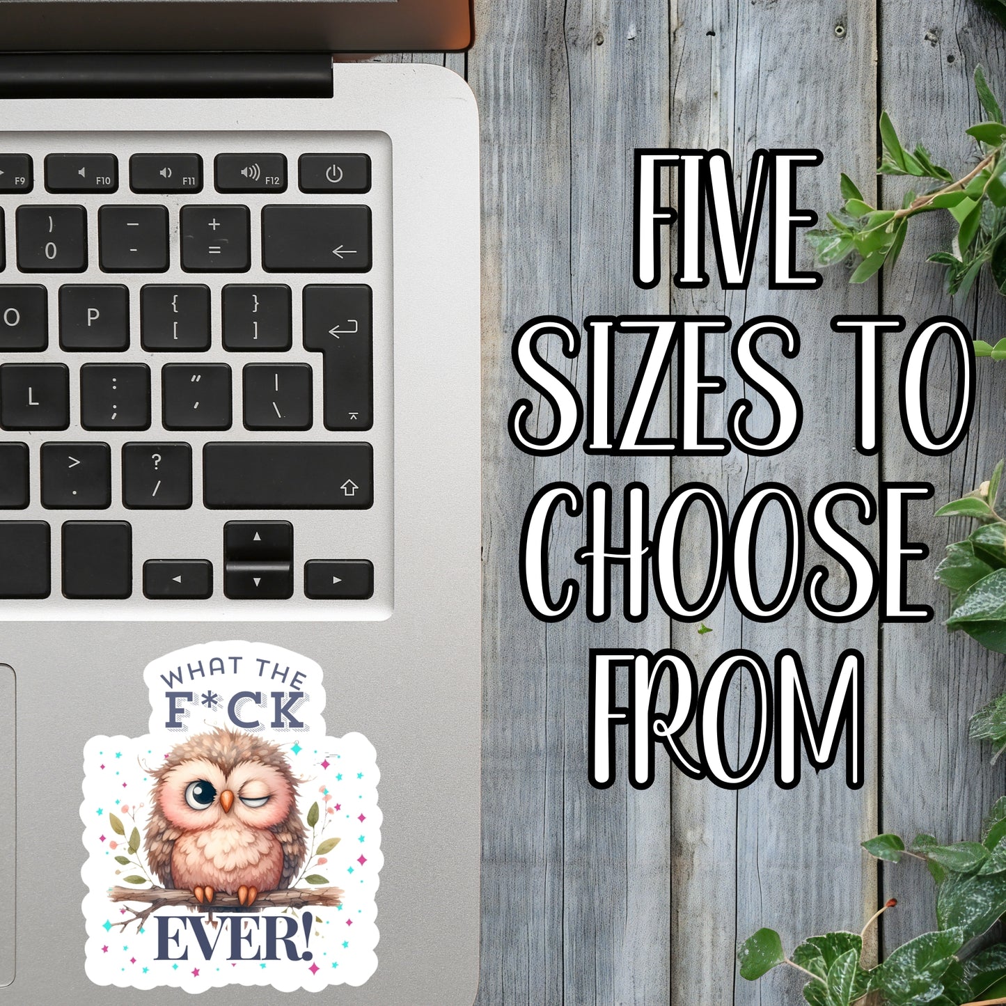 What The F*ck Ever! - Cute Winking Owl Sticker | Laminated Vinyl Decal | Funny Gift Stickers | Multiple Sizes | Perfect for Laptops, Cars, Tumblers and More!